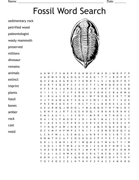 fossil root word.